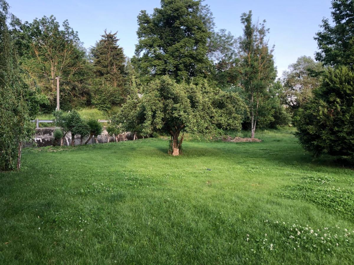 Jardin Juresien Maisons - Jacuzzi En Option Ferienhaus Jure